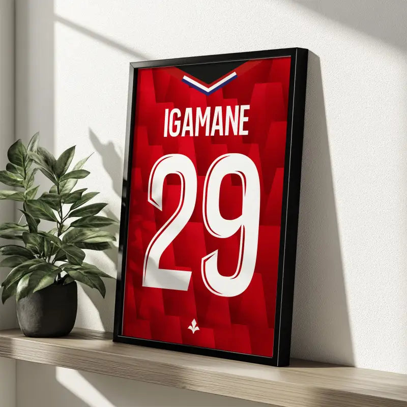 Affiche Lille LOSC Domicile 25-26 – Affiche encadrée personnalisée - Cadre Perso