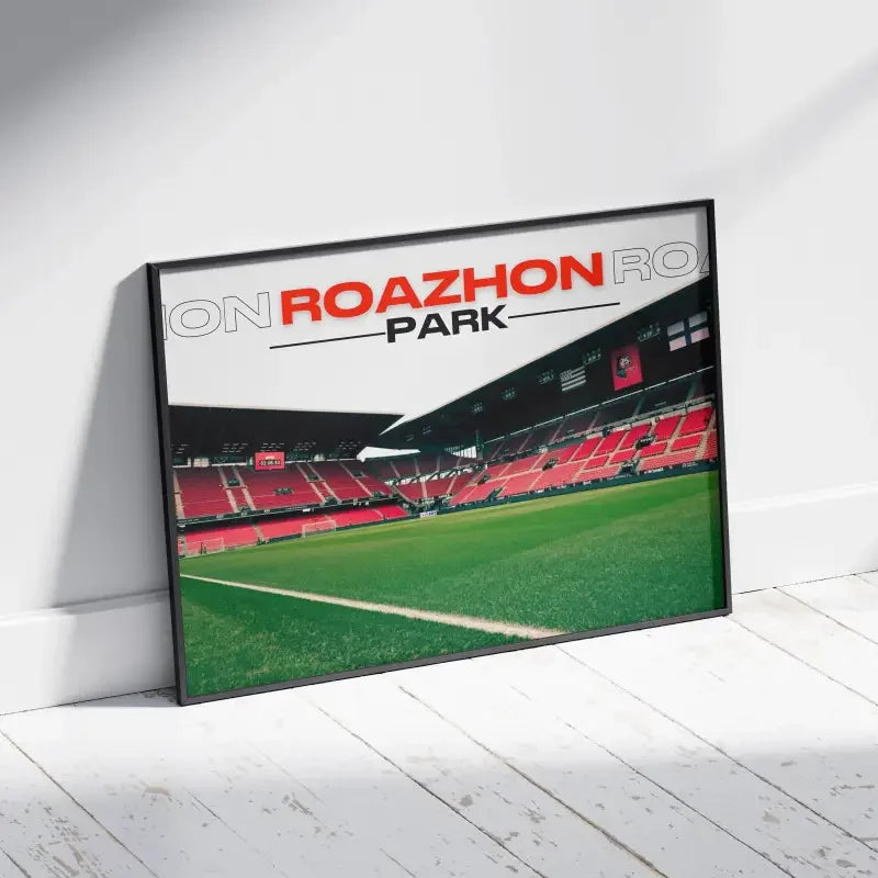 Affiche Roazhon Park | L'âme du Stade Rennais – Affiche encadrée personnalisée - Cadre Perso