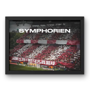 Affiche Stade Saint-Symphorien Metz | L'Esprit du Football Messin – Affiche encadrée personnalisée - Cadre Perso